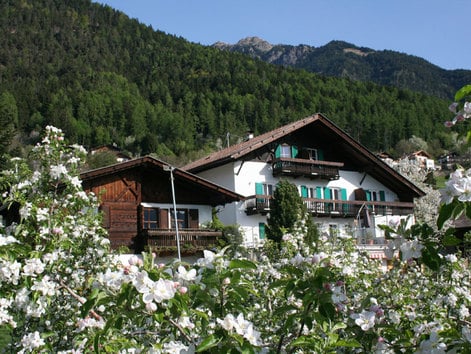 Holidays on a farm in South Tyrol