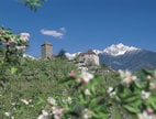 Schloss Tirol